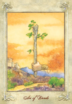 Ace of Wands